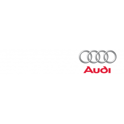 Cover chiavi auto Audi