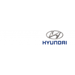 Cover chiavi auto Hyundai