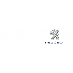 Cover chiavi auto Peugeot