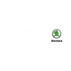 Cover chiavi auto Skoda